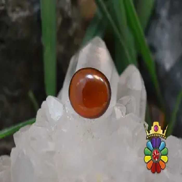 گارنت هسونیت