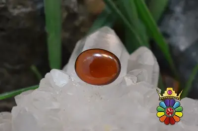 گارنت هسونیت