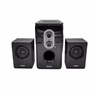 اسپیکر NEXT TE 302   ریموت   فلش خور