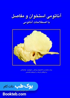 آناتومی استخوان و مفاصل با اصطلاحات آناتومی