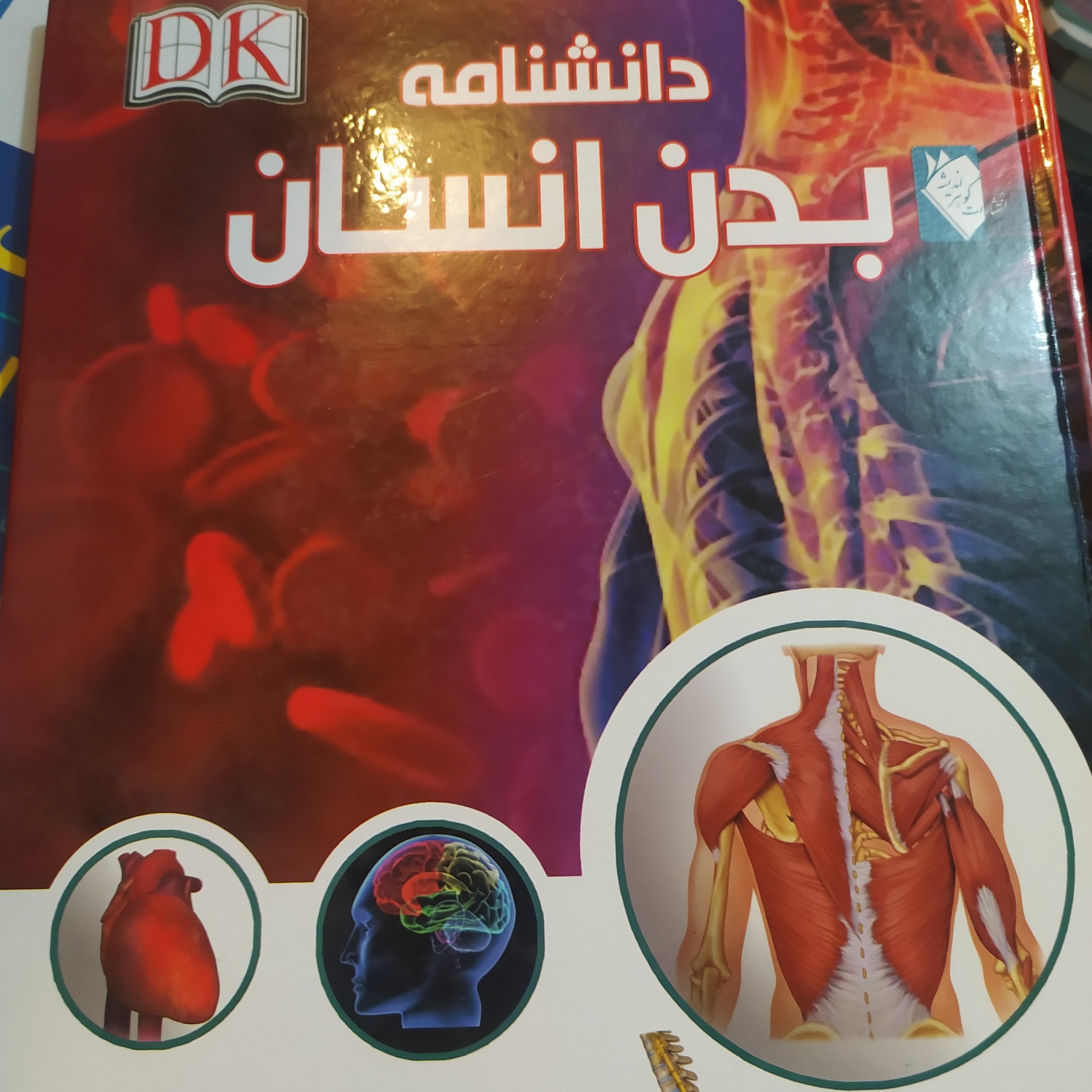 کتاب دانشنامه بدن انسان رحلی گلاسه رنگی