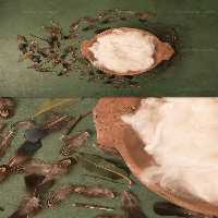 پس زمینه عکاسی نوزاد | گرافیک با طعم تربچه