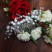 شانه شینیون مو ، مرواریدی سفید