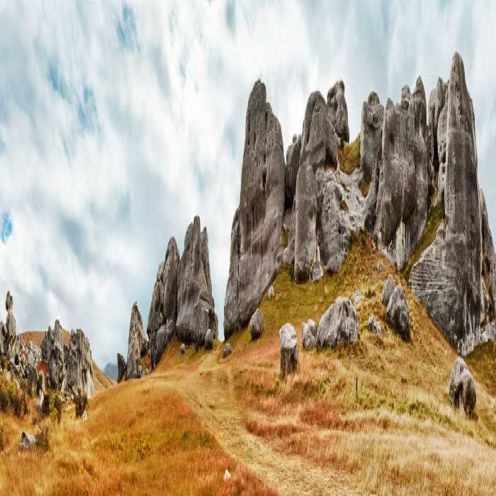 خرید و دانلود عکس Nature-Part-6 کد 37105 | پیک فاکس | Pic Fox