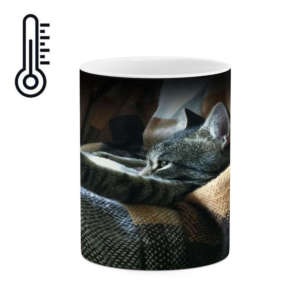 ماگ حرارتی کاکتی طرح گربه مدل mgh16754