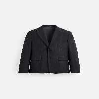 بلیزر مردانه زارا PINSTRIPED SUIT BLAZER | تهران زارا TehranZara