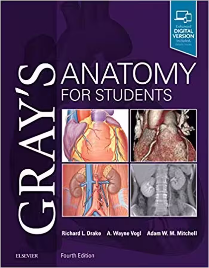 󾕇 دانلود کتاب Gray’S Anatomy For Students, 4th ed, 2019 - دانلود کتاب های دانشگاهی