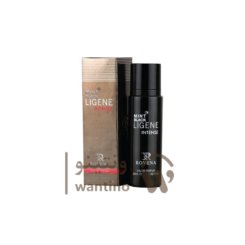 عطر ادکلن مردانه مونت بلنک لجند اینتنس روونا (Rovena Mont Blanc Legend Intense) 30 میل