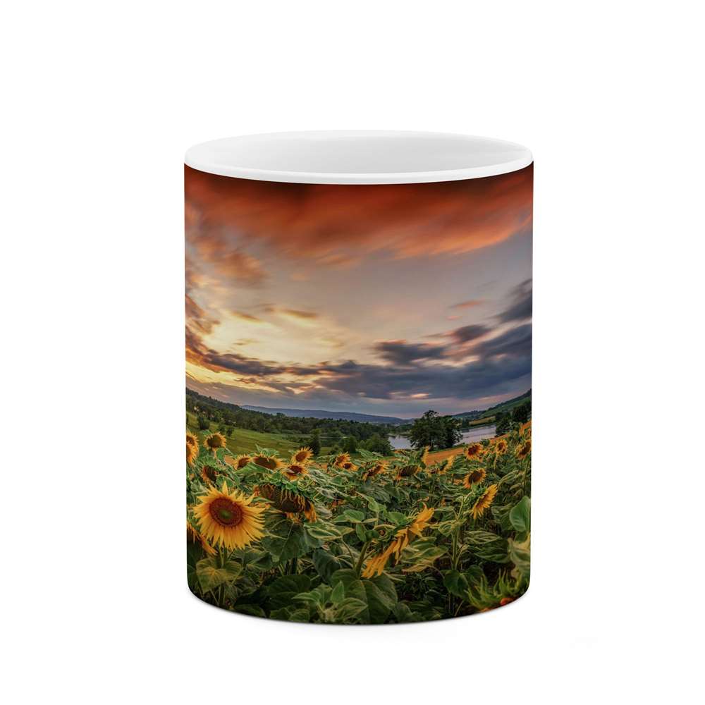 ماگ کاکتی طرح منظره مدل mgs13284