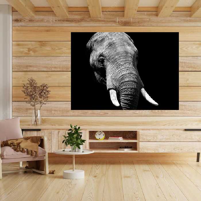 تابلو شاسی مدل فیل | دنیای قاب