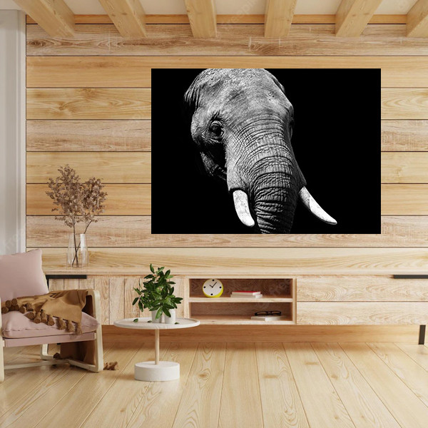 تابلو شاسی مدل فیل | دنیای قاب