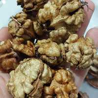 گردو امسالی پرچرب و خوشمزه 