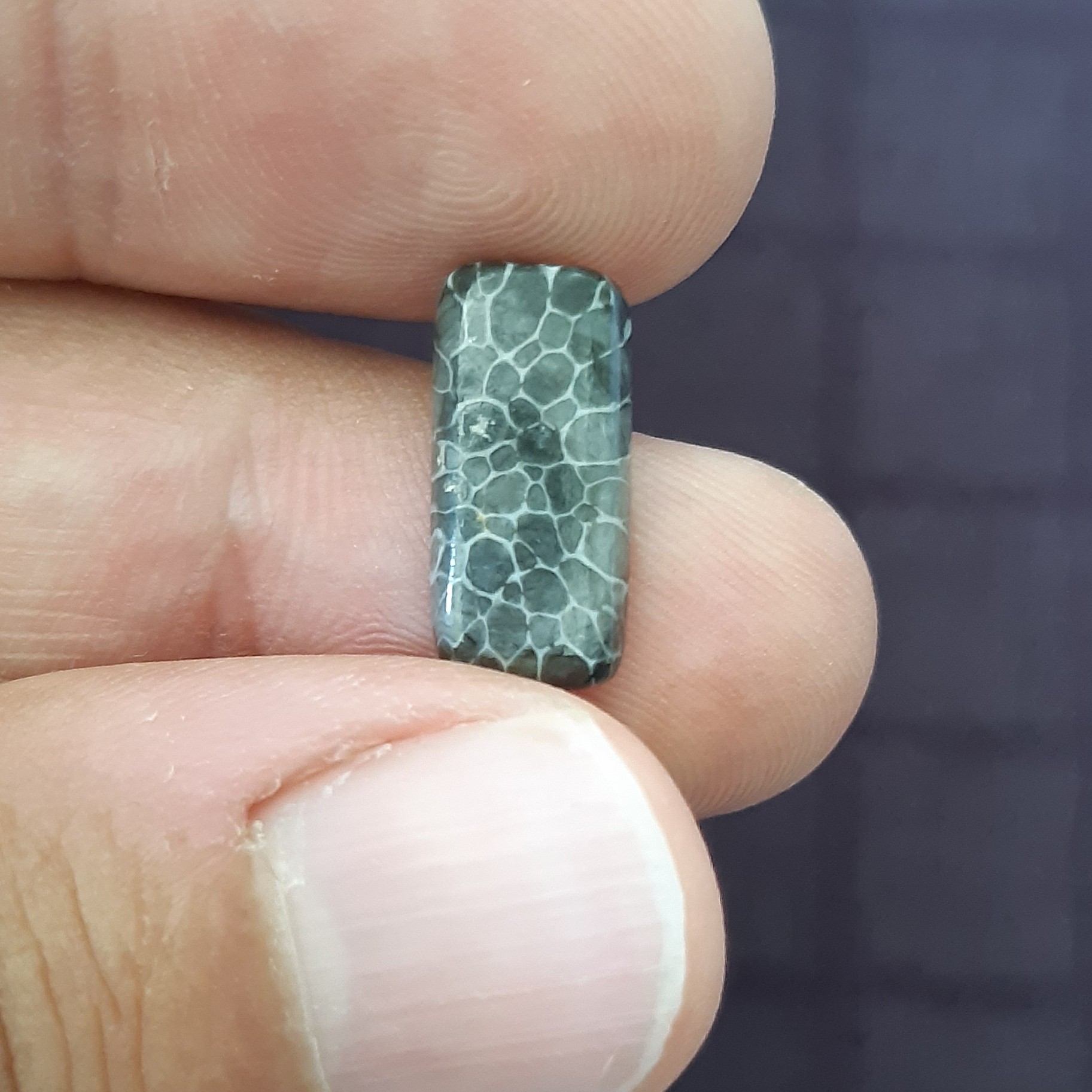 نگین دایناسور بُن یا فسیل استخوان دایناسور طبیعی و معدنی خوش نقش