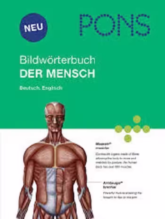 PONS Bildworterbuch Der Mensch رنگی