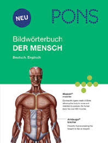 PONS Bildworterbuch Der Mensch رنگی