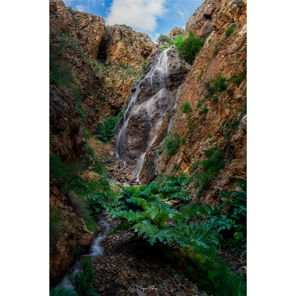 تابلو شاسی مدل 010