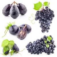 خرید و دانلود عکس Food-Part-15 کد 19119 | پیک فاکس | Pic Fox