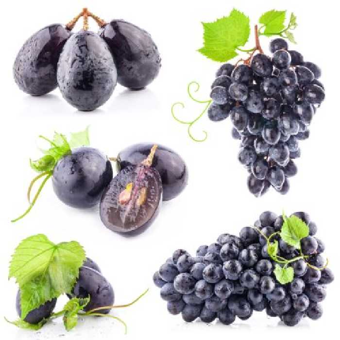 خرید و دانلود عکس Food-Part-15 کد 19119 | پیک فاکس | Pic Fox