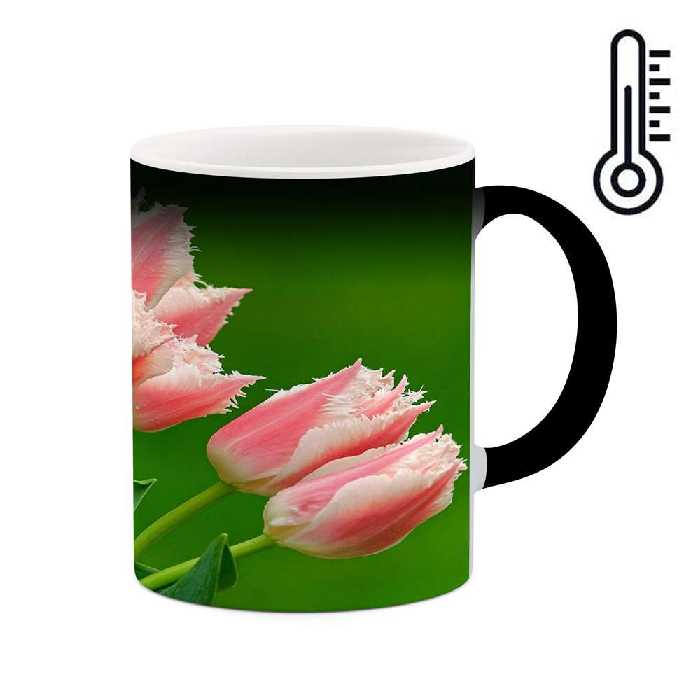 ماگ حرارتی طرح گل مدل mgh12114