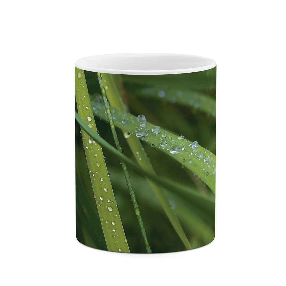 ماگ طرح برگ مدل mgs07640