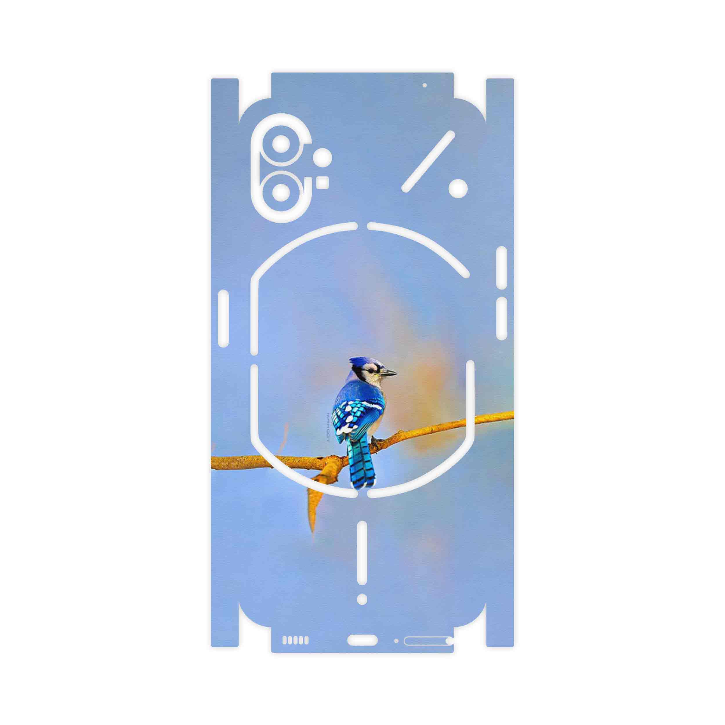برچسب پوششی ماهوت مدل Cyanocitta cristata-FullSkin مناسب برای گوشی موبایل ناتینگ Phone 1