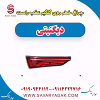 چراغ خطر روی گلگیر عقب راست دیگنیتی