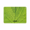 برچسب پوششی ماهوت مدل Leaf-Texture مناسب برای تبلت اپل iPad Pro 11 2018 A1979