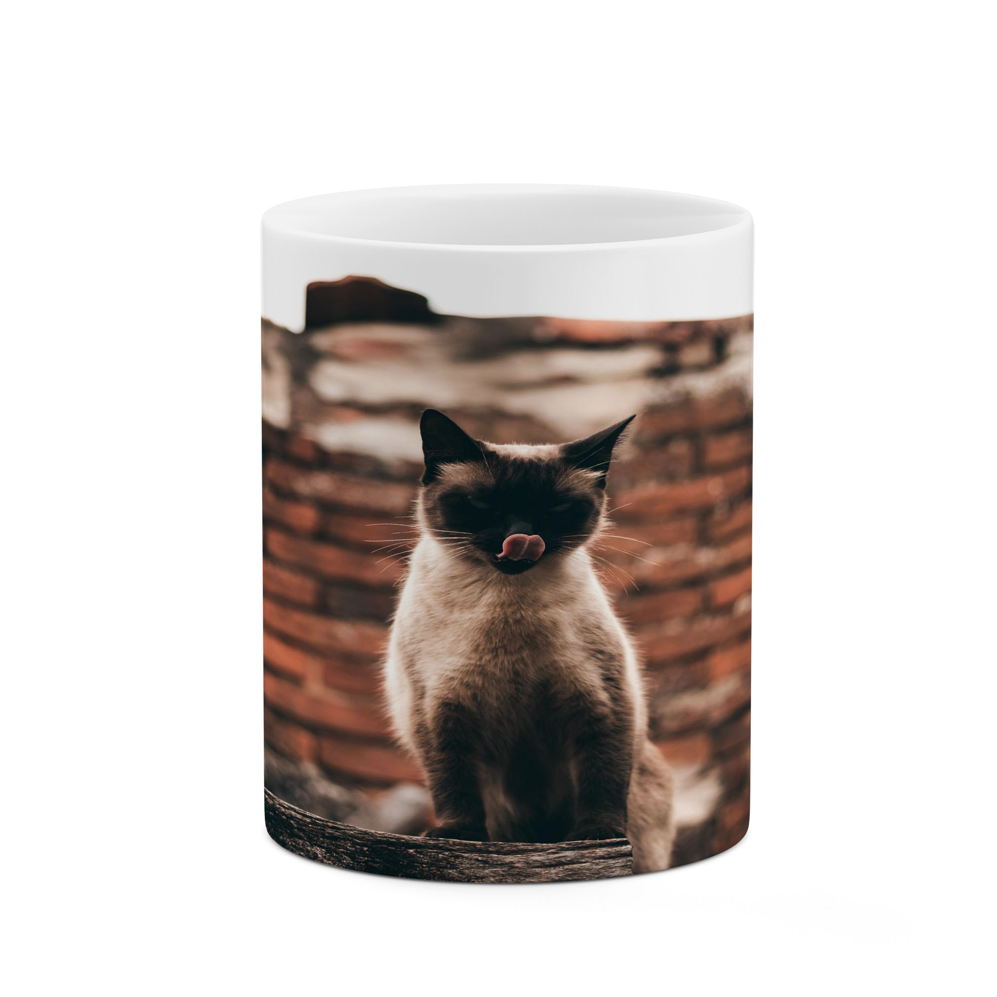 ماگ کاکتی طرح گربه مدل mgs17130