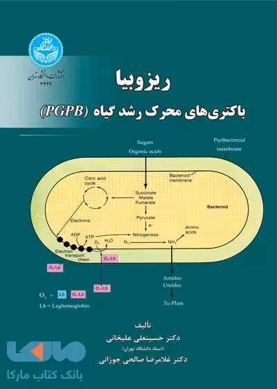 ریزوبیا، باکتری‌های محرک رشد گیاه نشر دانشگاه تهران