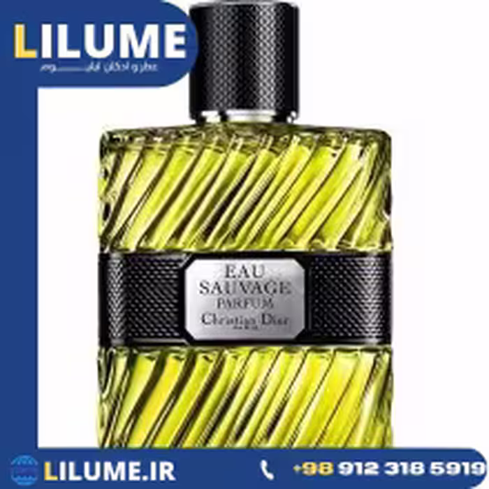 عطر ادکلن دیور او ساوج پارفیوم 2017 100 میل مردانه