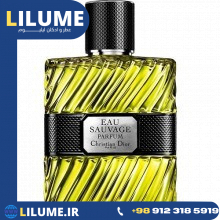 عطر ادکلن دیور او ساوج پارفیوم 2017 100 میل مردانه