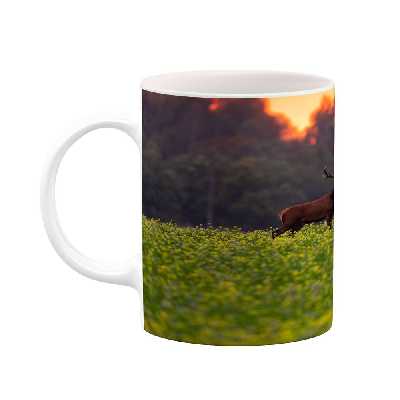 ماگ کاکتی طرح منظره مدل mgs16019