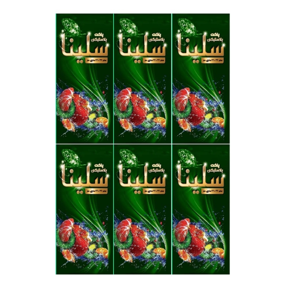 کیسه فریزر سلینا مدل M6 مجموعه 6 عددی