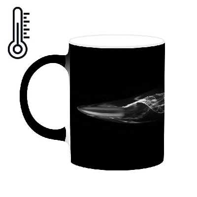 ماگ حرارتی کاکتی طرح فانتزی مدل mgh19503