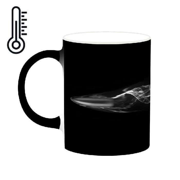 ماگ حرارتی کاکتی طرح فانتزی مدل mgh19503