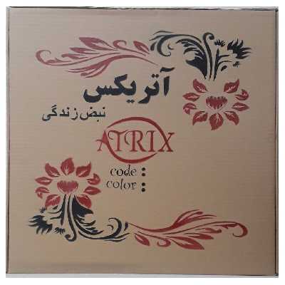 آینه آتریکس کد AM02