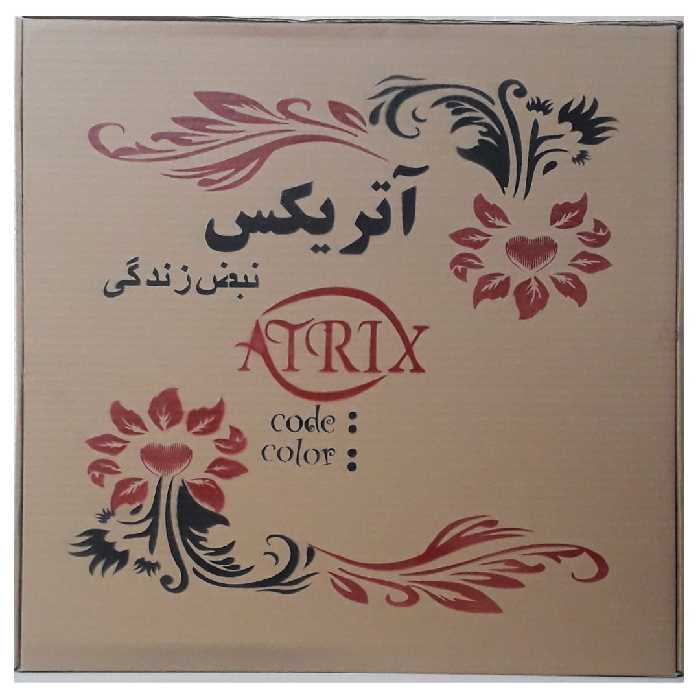 آینه آتریکس کد AM02