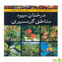 درختان میوه مناطق گرمسیری سعید اسلامیان آییژ - سیب ترش - SibTorsh