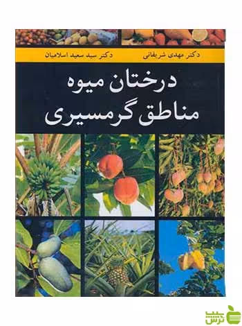 درختان میوه مناطق گرمسیری سعید اسلامیان آییژ - سیب ترش - SibTorsh