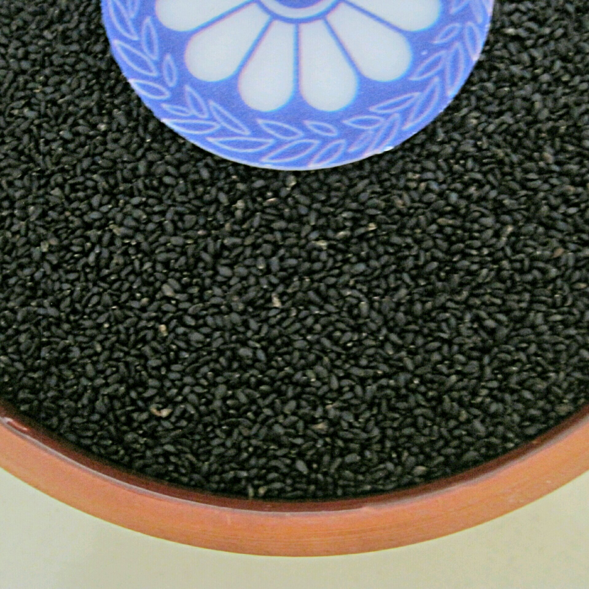 تخم شربتی درشت هندی (کاملا تمیز و سورت شده)