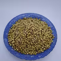 گشنیز75 گرمی فروشگاه آویشا