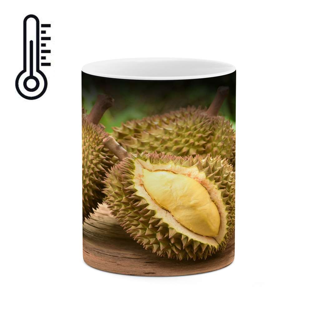 ماگ حرارتی طرح میوه  مدل mgph11088