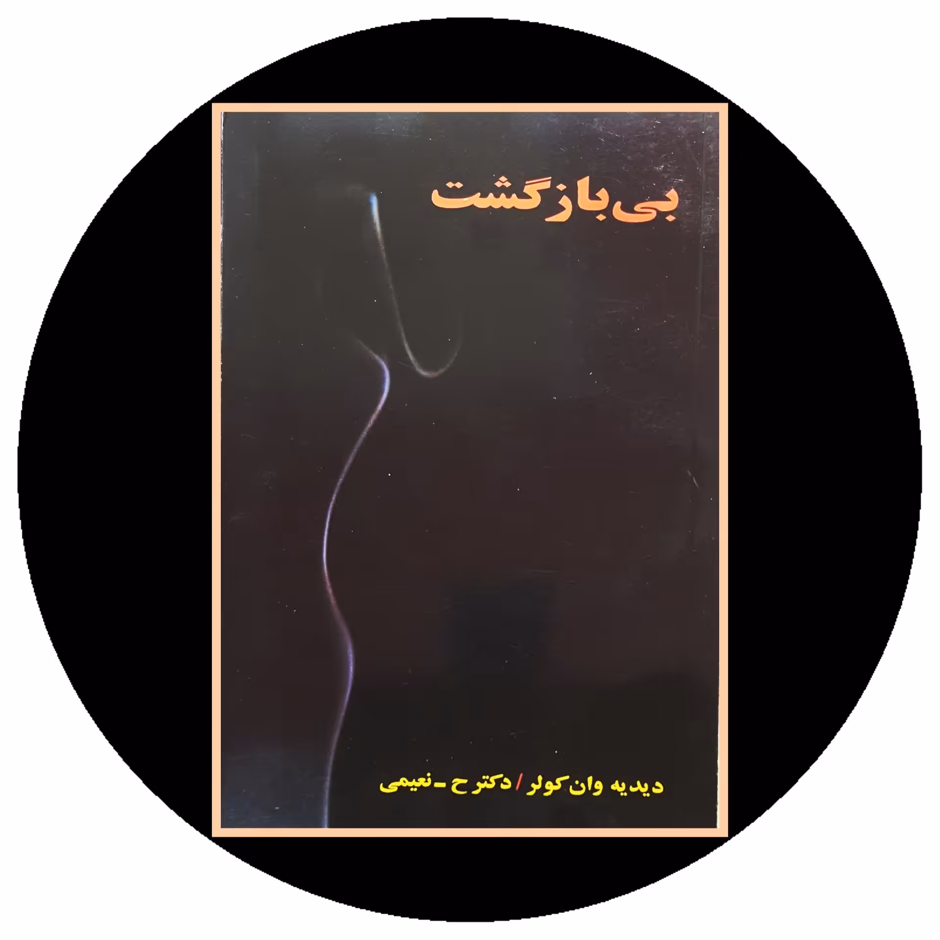 کتاب بی بازگشت - خرید با تخفیف چهل درصد از کتاب دایره قهوه ای -