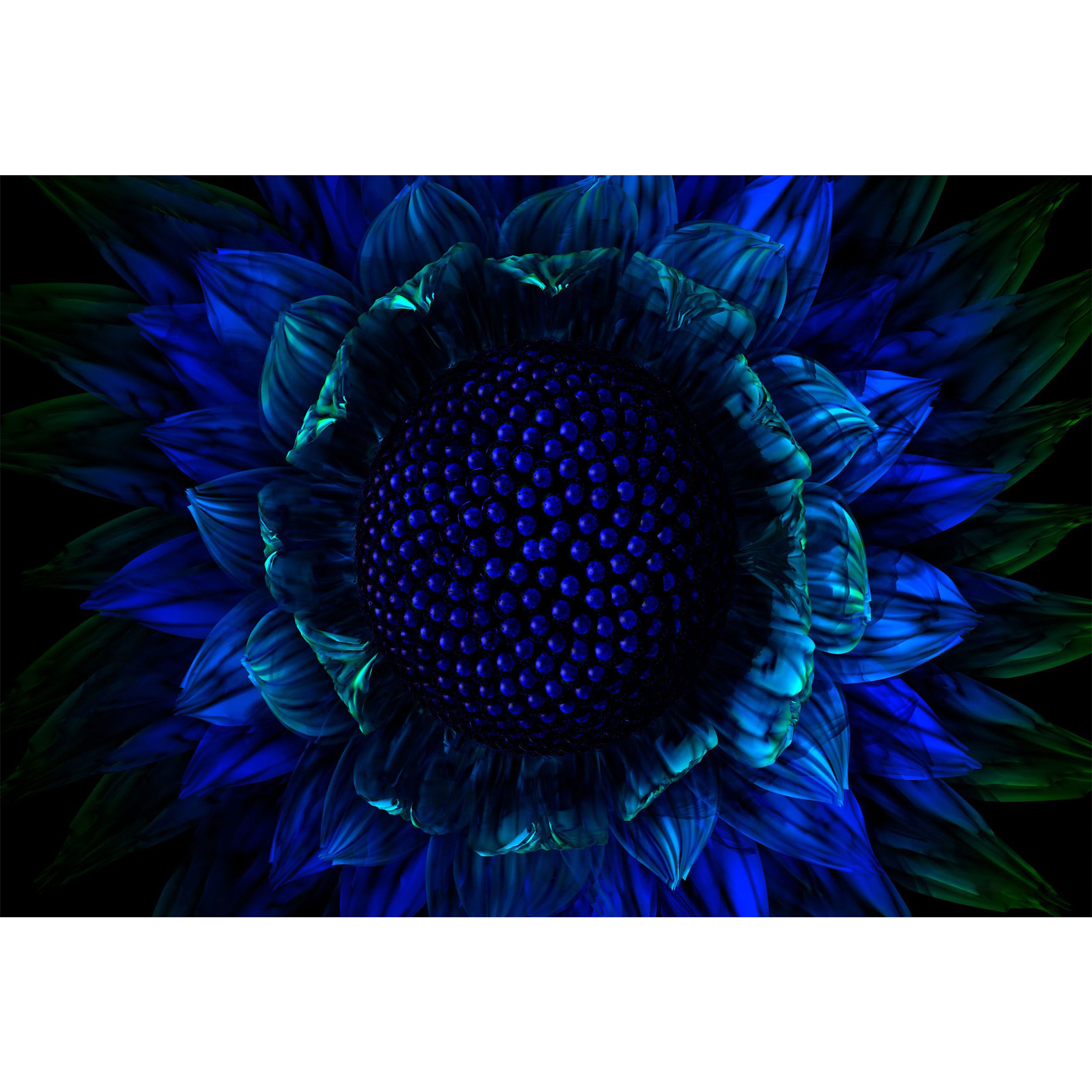 تابلو شاسی طرح فانتزی گل آبی آفتابگردان مدل T1210