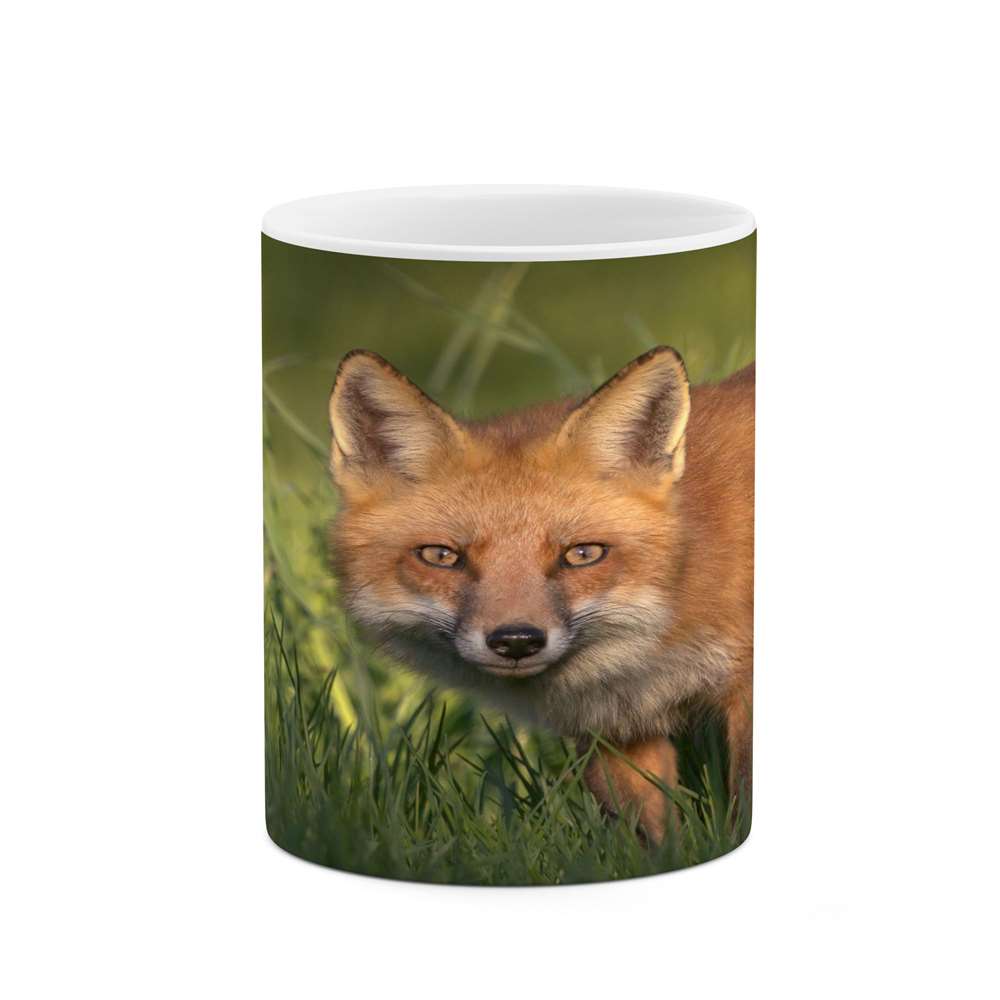 ماگ کاکتی طرح روباه مدل mgs16559