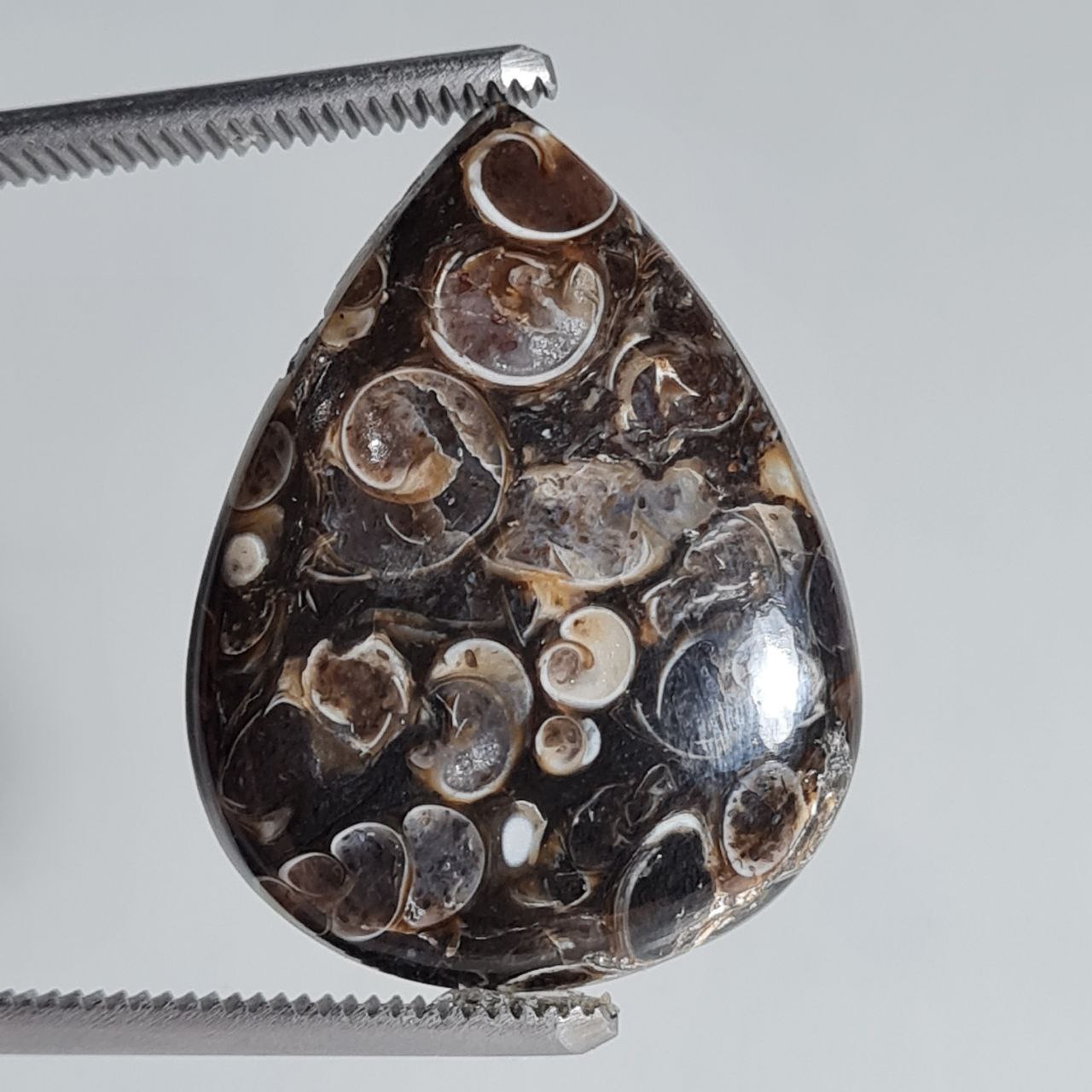 سنگ ترتلا جاسپر اشکی اصل 5333