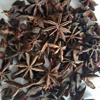 انیسون ستاره ای (بادیان ختایی50گرم چاشنی خاتون