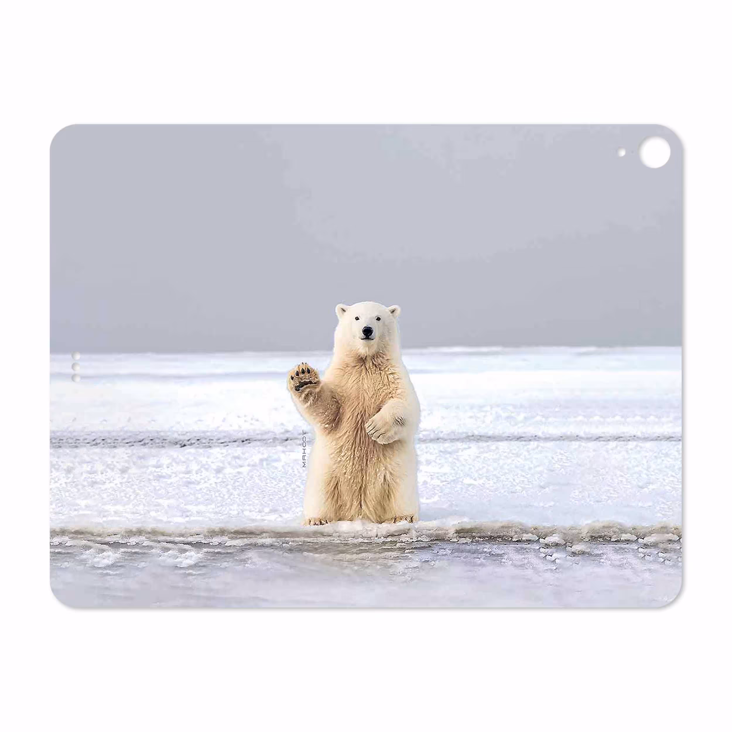 برچسب پوششی ماهوت مدل Polar bear مناسب برای تبلت اپل iPad Pro 12.9 (GEN 3) 2018 A1895