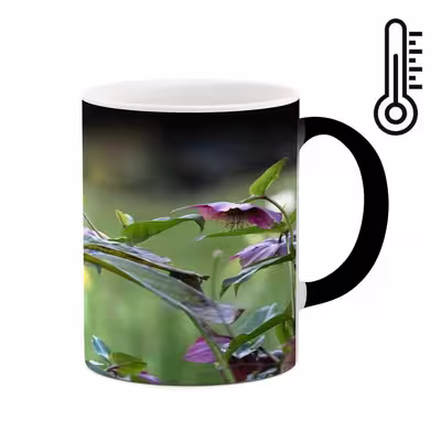 ماگ حرارتی کاکتی طرح پرنده مدل mgh15592