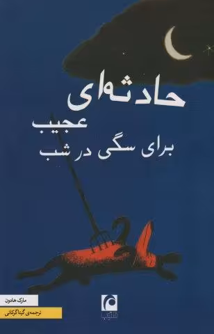 حادثه ای عجیب برای سگی در شب